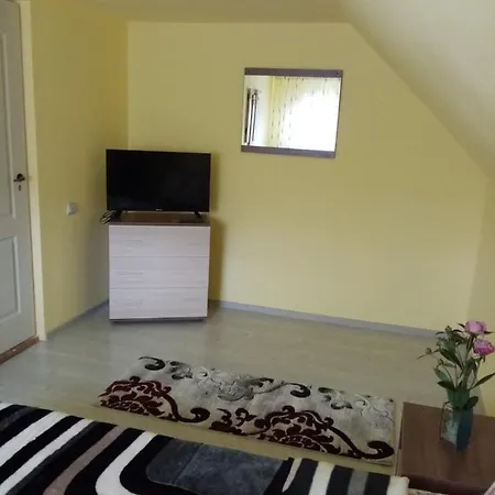 Casuta Din Padure De La Homestay Cimpu lui Neag