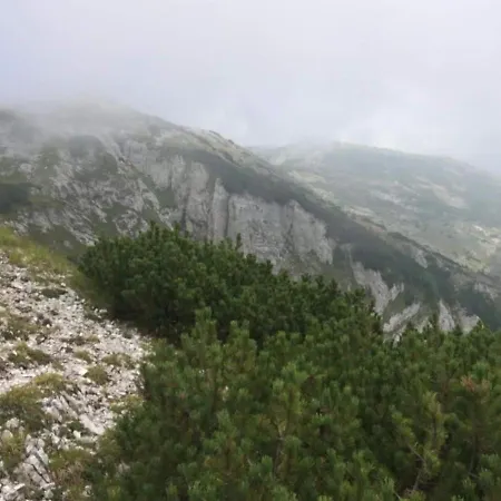 Casuta Din Padure De La Cimpu lui Neag