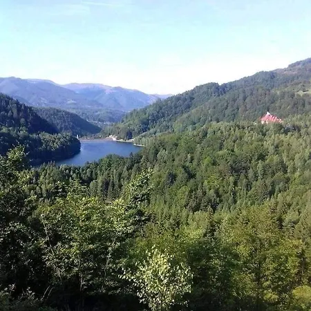 Casuta Din Padure De La