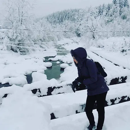 Casuta Din Padure De La Cimpu lui Neag