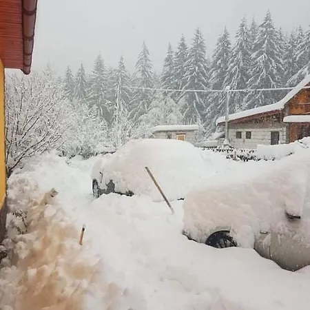 Casuta Din Padure De La * Cimpu lui Neag