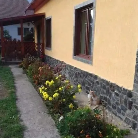 Casuta Din Padure De La Homestay Cimpu lui Neag