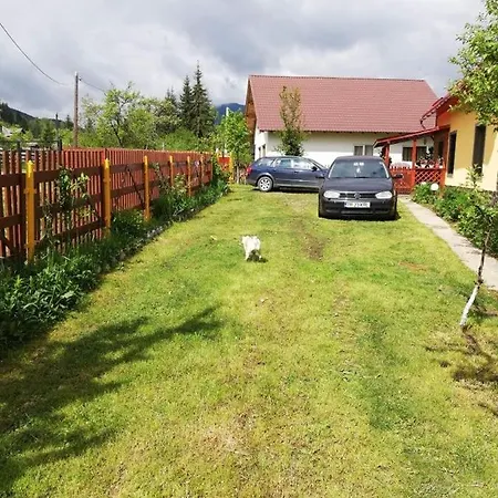 Casuta Din Padure De La Cimpu lui Neag