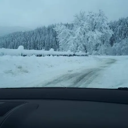 Casuta Din Padure De La * Cimpu lui Neag