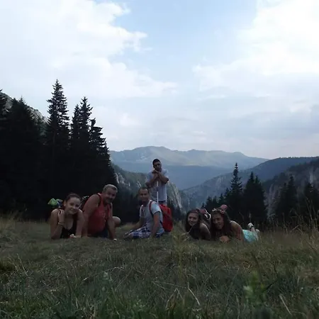 Casuta Din Padure De La