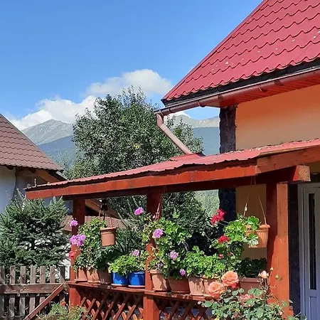 Casuta Din Padure De La Homestay Cimpu lui Neag