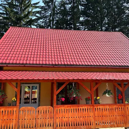 Casuta Din Padure De La Homestay Cimpu lui Neag